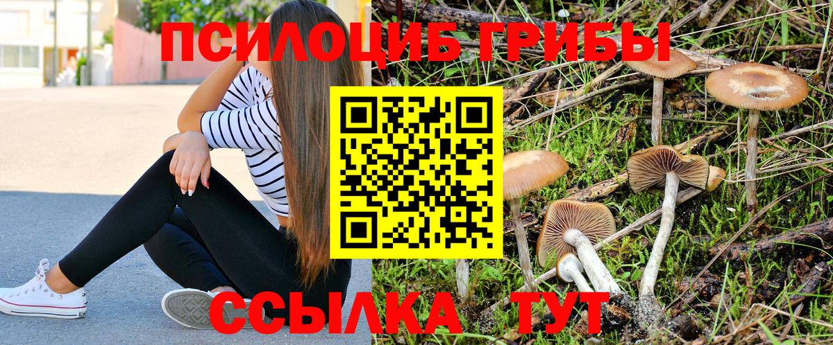 Гашиш  Кашира  COCAIN  Мефедрон кристаллы  МЕФ  ГЕРОИН  Вход с VPN  ГАШ 