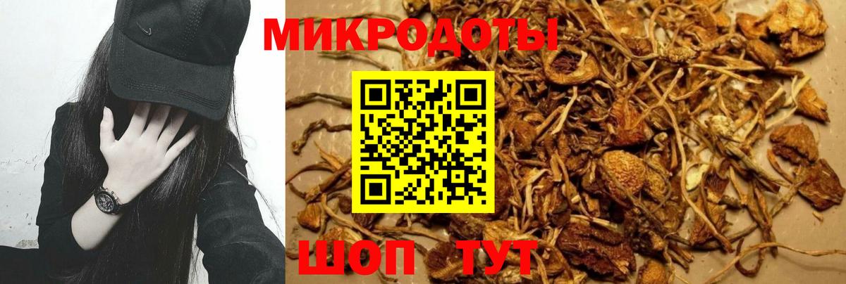Кашира  Псилоцибиновые грибы GOLDEN TEACHER  Вход с VPN 